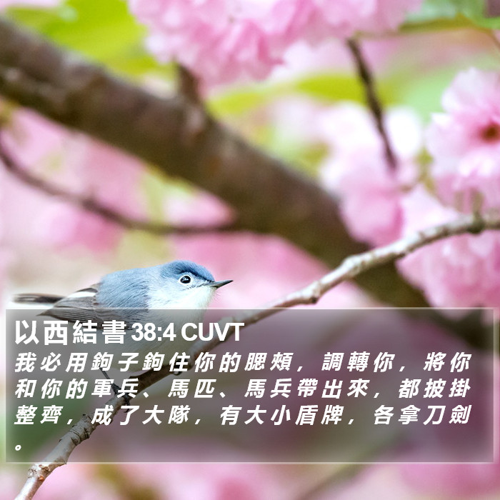 以 西 結 書 38:4 CUVT Bible Study