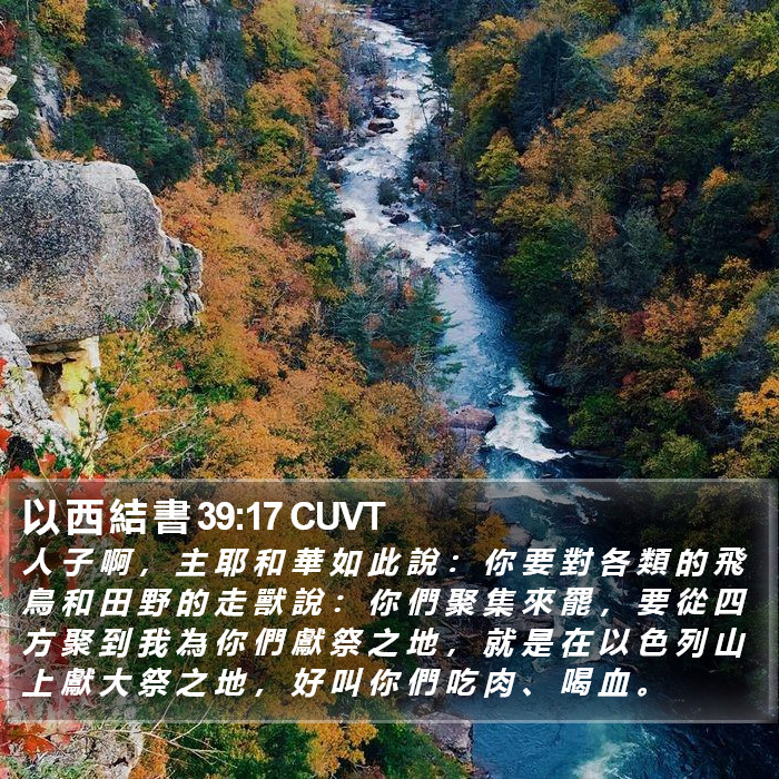 以 西 結 書 39:17 CUVT Bible Study