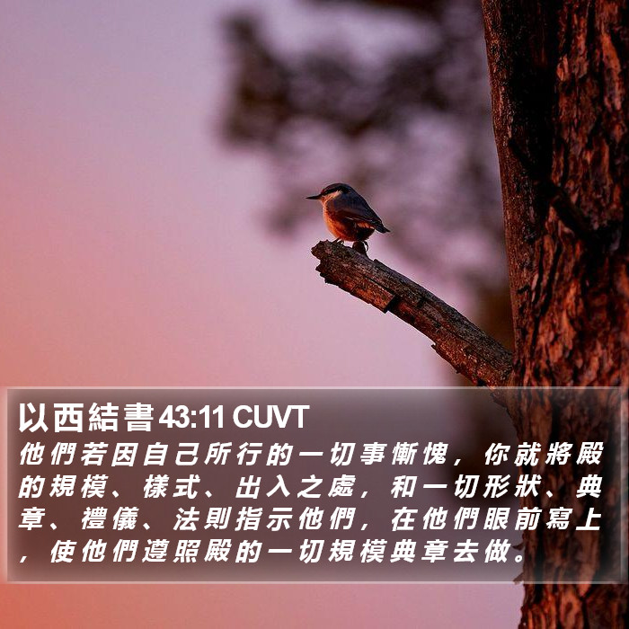 以 西 結 書 43:11 CUVT Bible Study