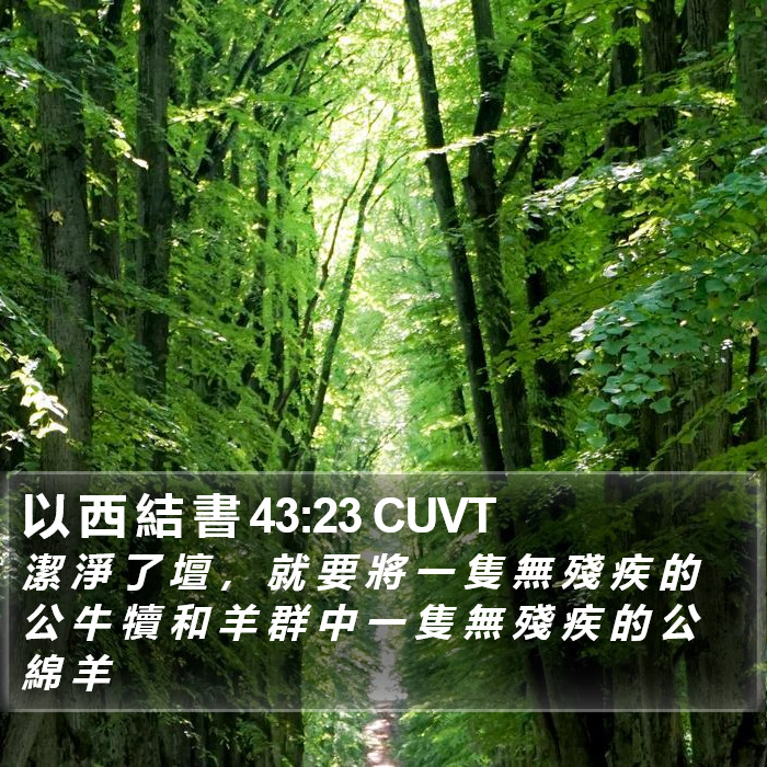 以 西 結 書 43:23 CUVT Bible Study