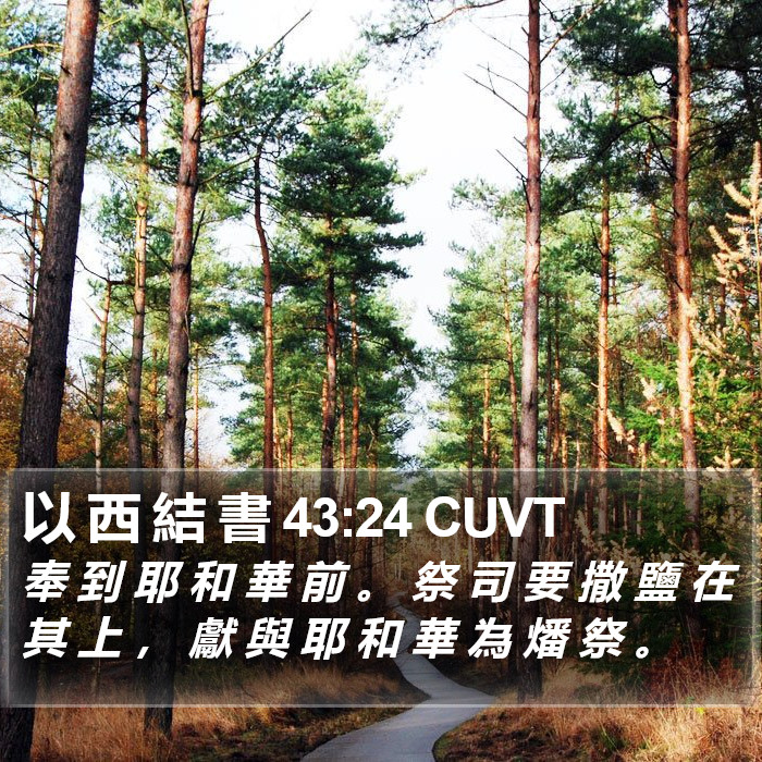 以 西 結 書 43:24 CUVT Bible Study