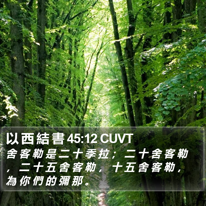 以 西 結 書 45:12 CUVT Bible Study