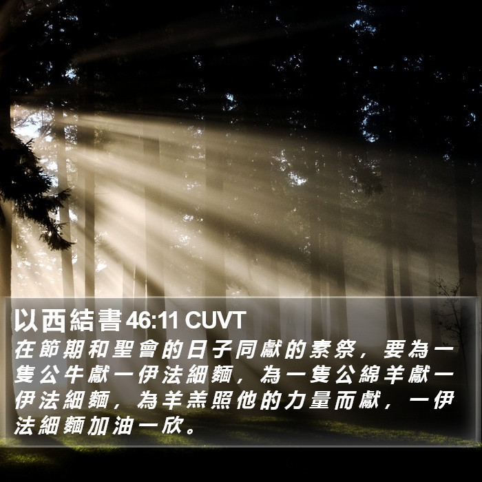 以 西 結 書 46:11 CUVT Bible Study