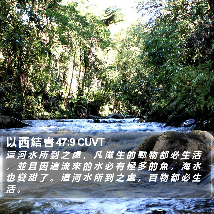 以 西 結 書 47:9 CUVT Bible Study