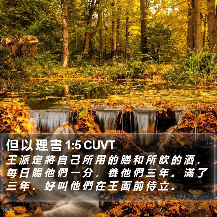 但 以 理 書 1:5 CUVT Bible Study