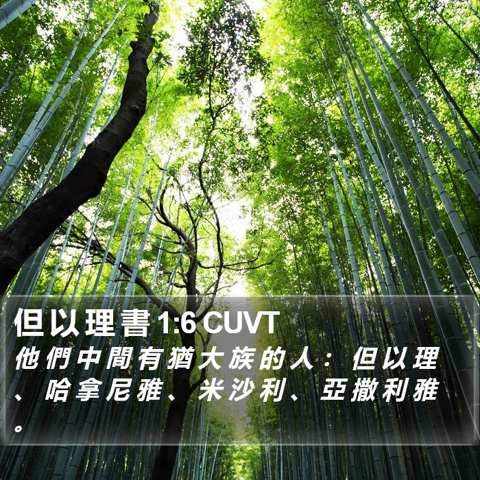 但 以 理 書 1:6 CUVT Bible Study