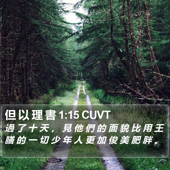 但 以 理 書 1:15 CUVT Bible Study