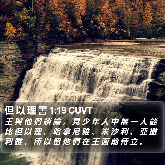 但 以 理 書 1:19 CUVT Bible Study