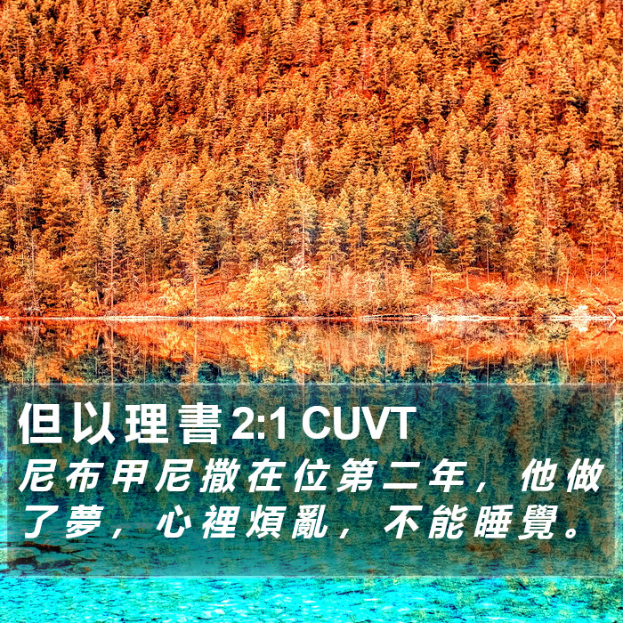 但 以 理 書 2:1 CUVT Bible Study