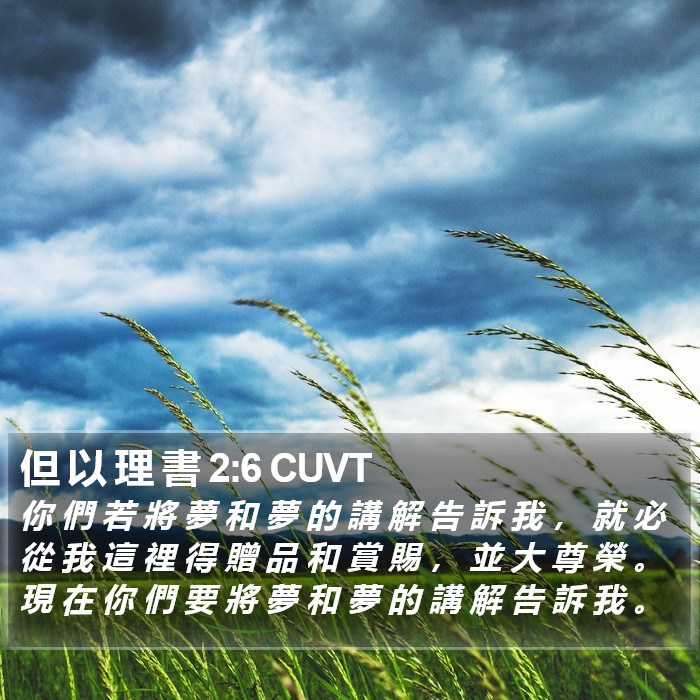 但 以 理 書 2:6 CUVT Bible Study