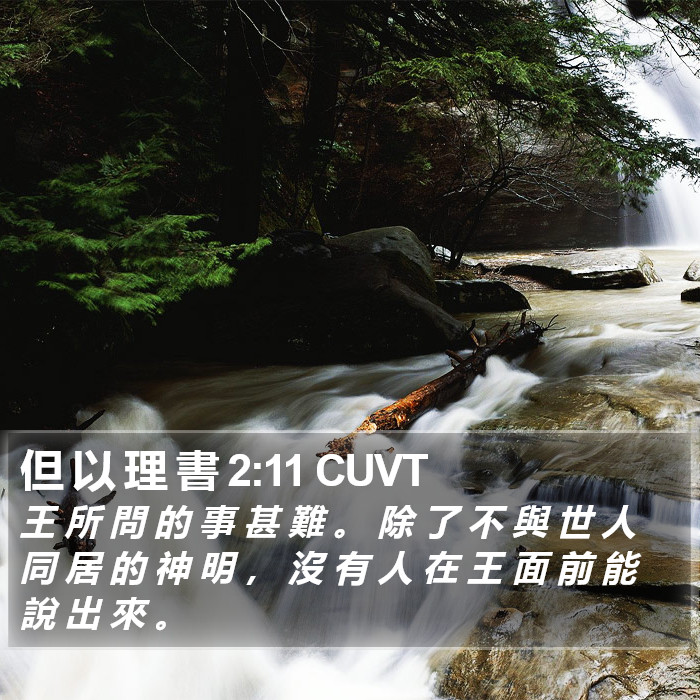 但 以 理 書 2:11 CUVT Bible Study