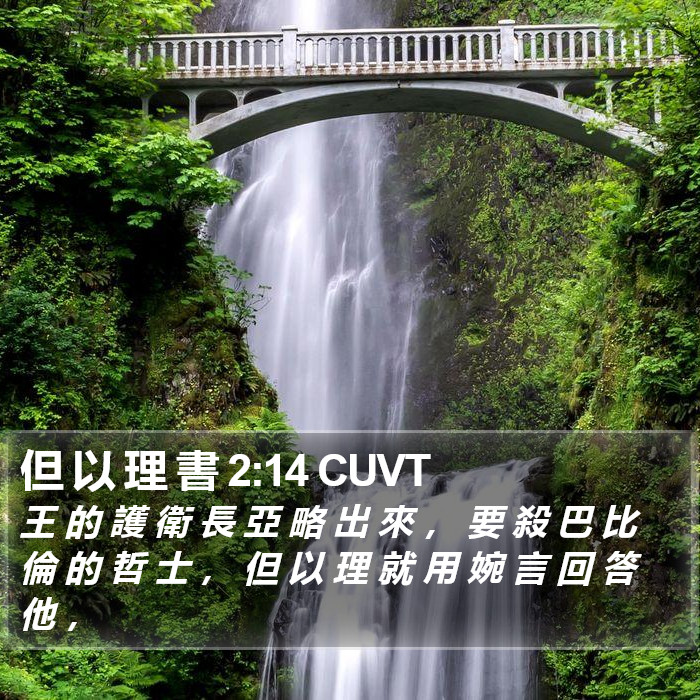 但 以 理 書 2:14 CUVT Bible Study