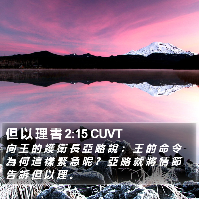 但 以 理 書 2:15 CUVT Bible Study