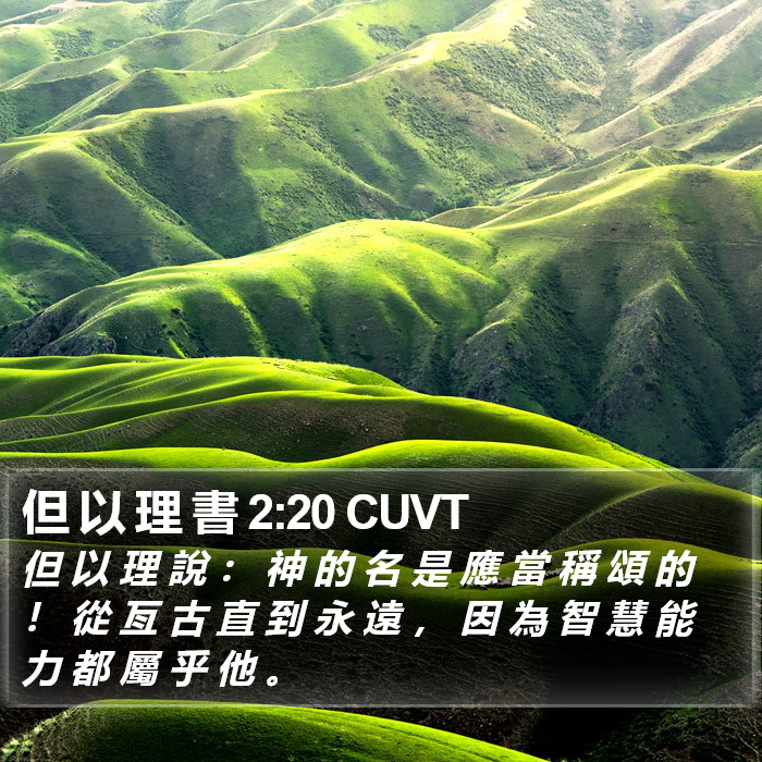 但 以 理 書 2:20 CUVT Bible Study