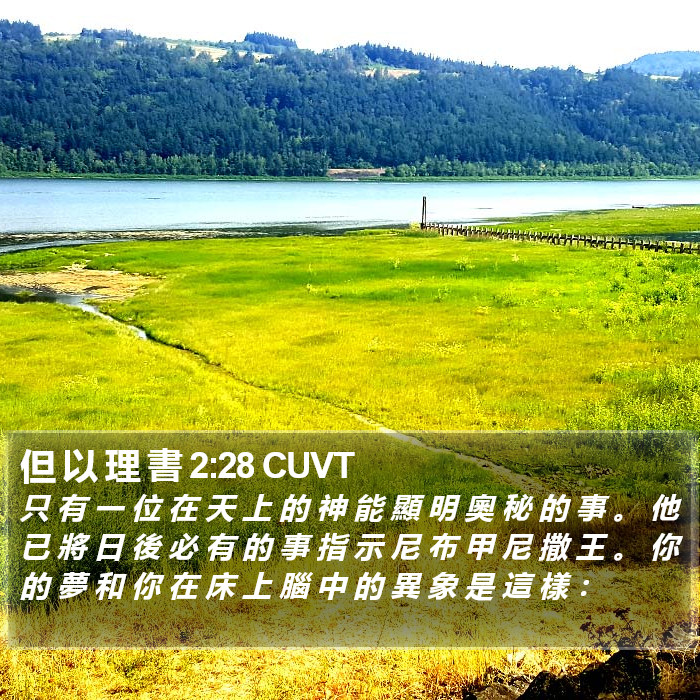 但 以 理 書 2:28 CUVT Bible Study