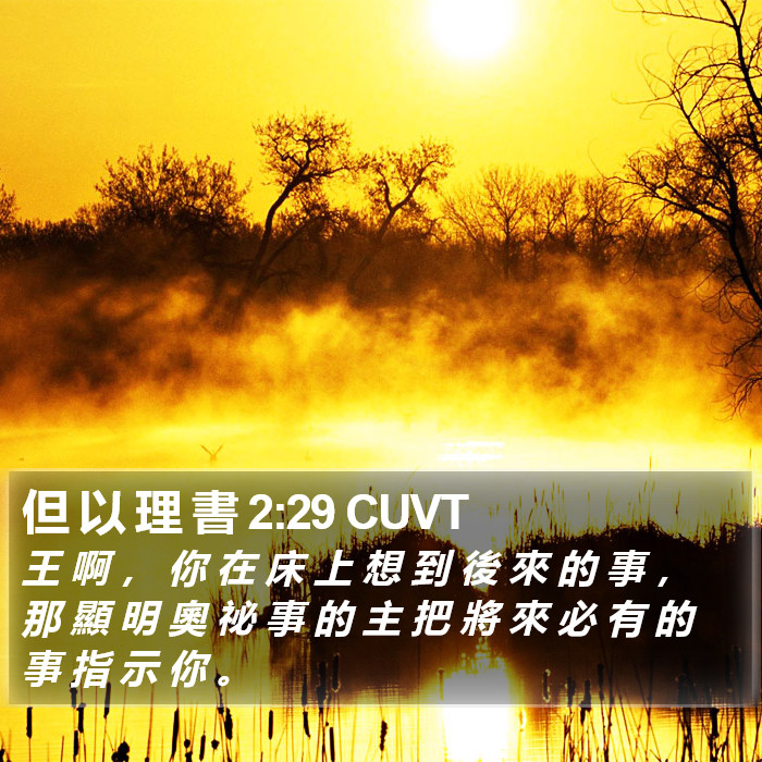 但 以 理 書 2:29 CUVT Bible Study