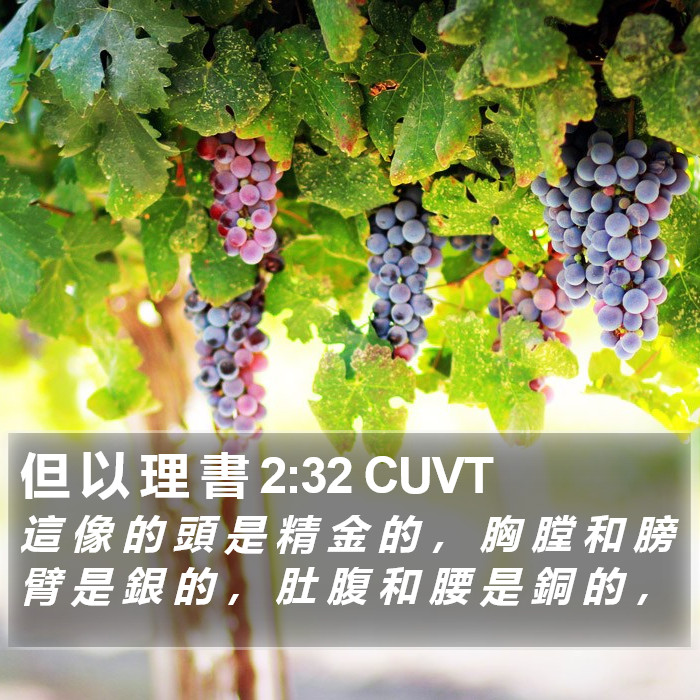 但 以 理 書 2:32 CUVT Bible Study