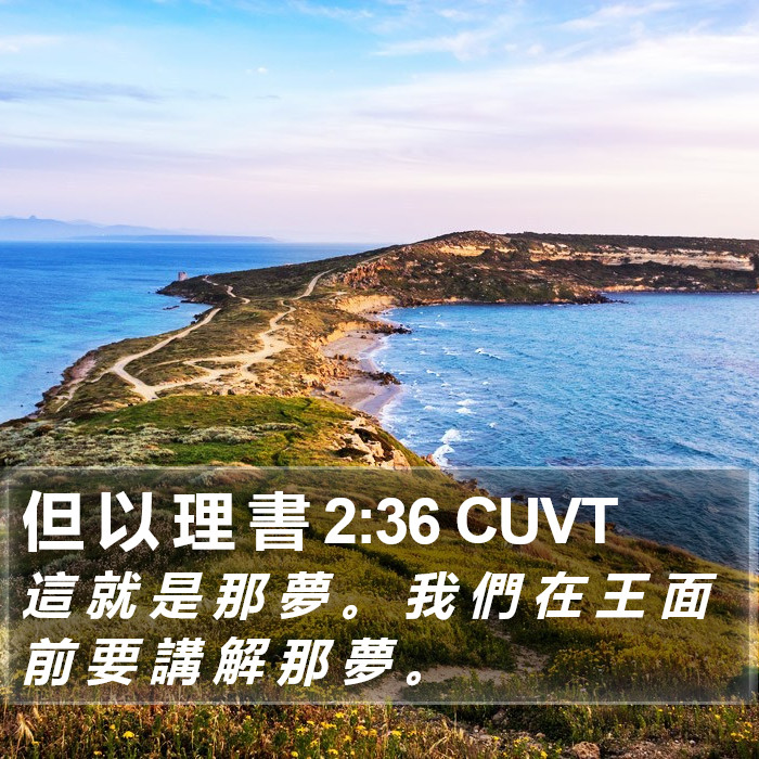 但 以 理 書 2:36 CUVT Bible Study