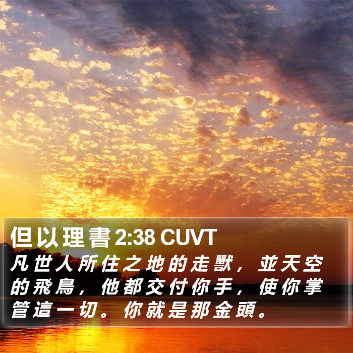 但 以 理 書 2:38 CUVT Bible Study