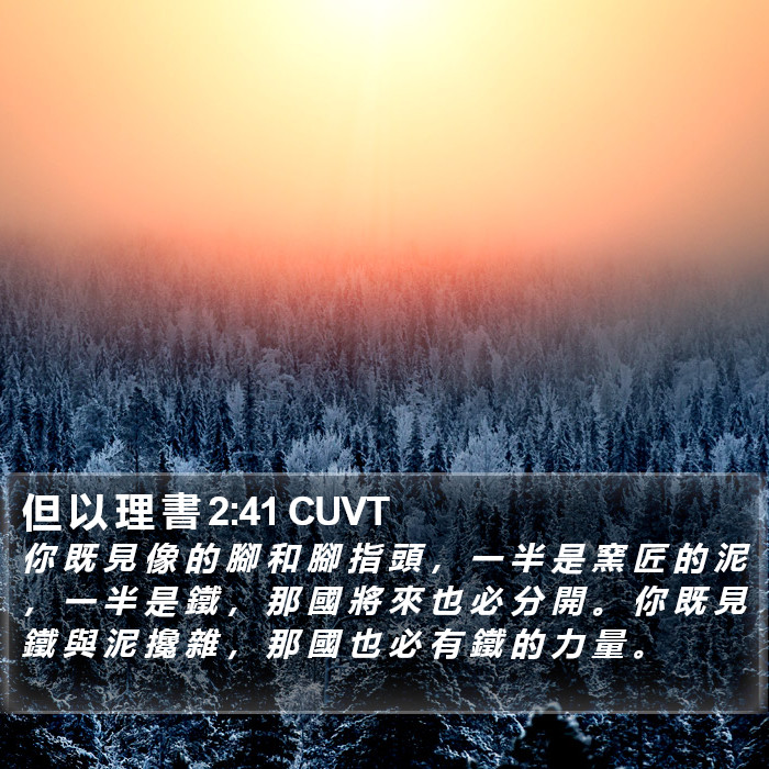 但 以 理 書 2:41 CUVT Bible Study