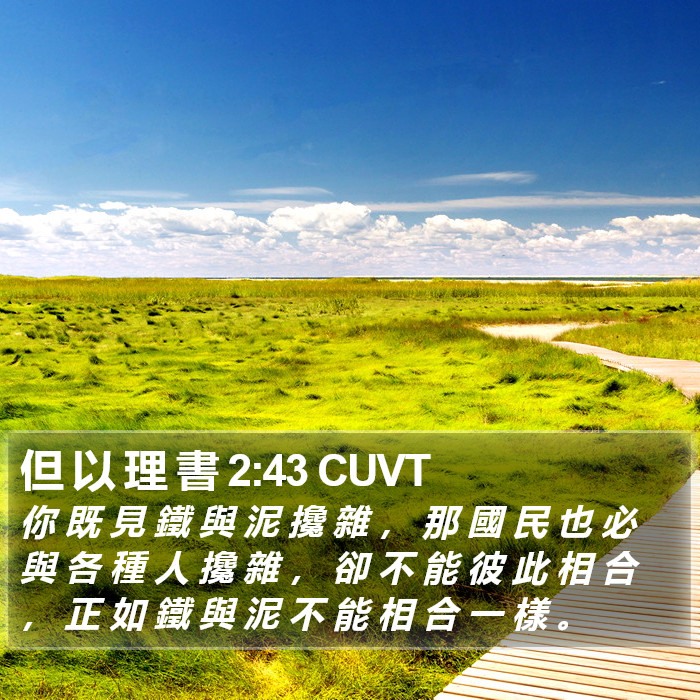 但 以 理 書 2:43 CUVT Bible Study