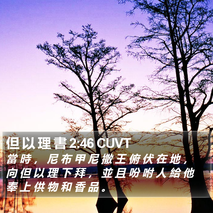 但 以 理 書 2:46 CUVT Bible Study