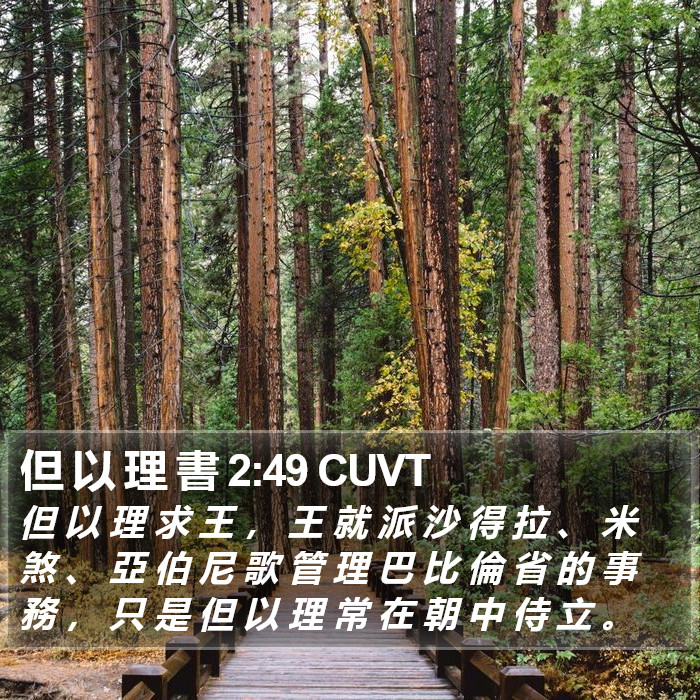 但 以 理 書 2:49 CUVT Bible Study