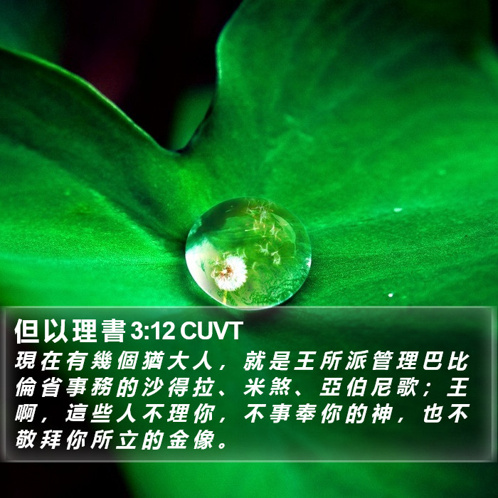 但 以 理 書 3:12 CUVT Bible Study