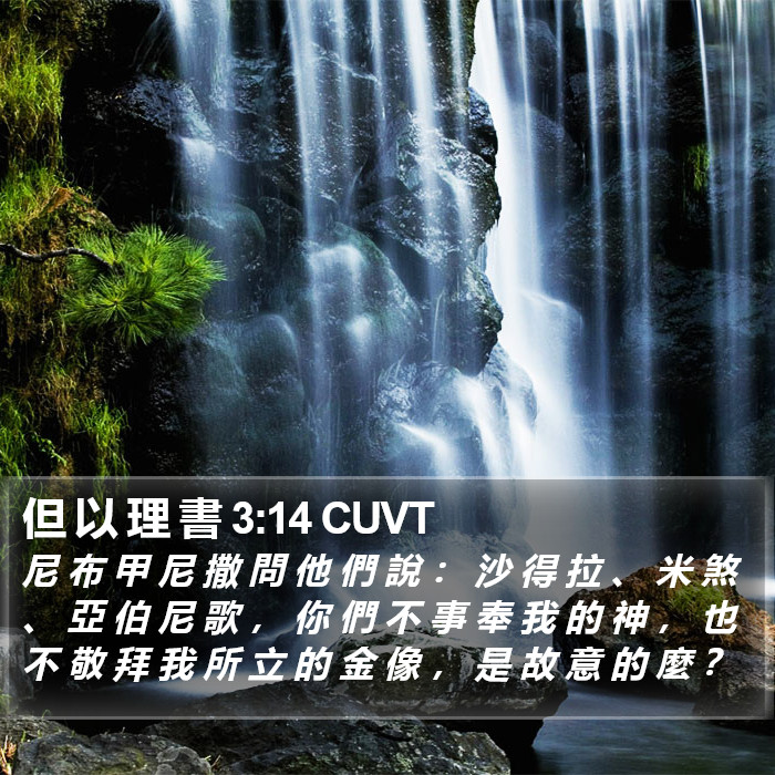 但 以 理 書 3:14 CUVT Bible Study