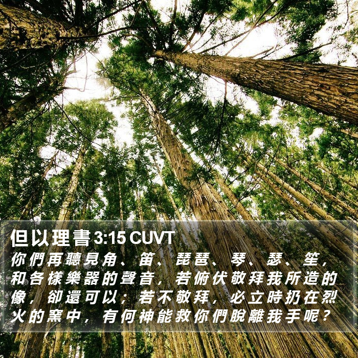 但 以 理 書 3:15 CUVT Bible Study