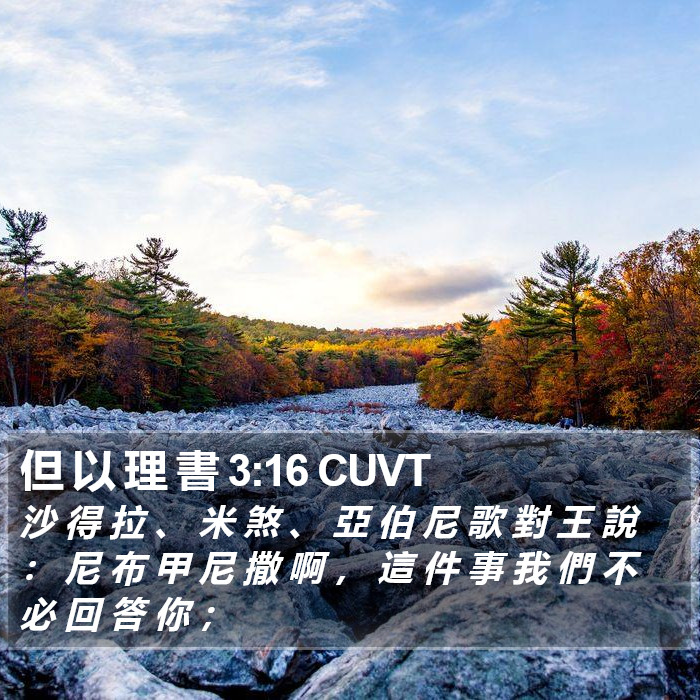 但 以 理 書 3:16 CUVT Bible Study