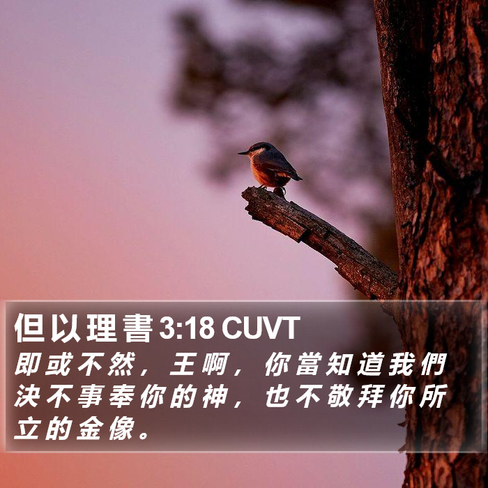 但 以 理 書 3:18 CUVT Bible Study