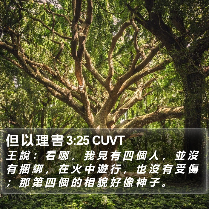 但 以 理 書 3:25 CUVT Bible Study