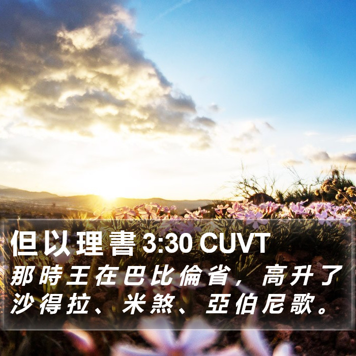 但 以 理 書 3:30 CUVT Bible Study