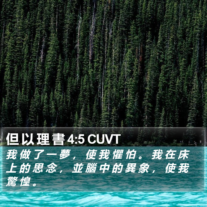 但 以 理 書 4:5 CUVT Bible Study