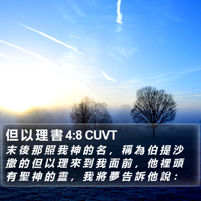 但 以 理 書 4:8 CUVT Bible Study