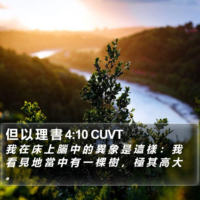 但 以 理 書 4:10 CUVT Bible Study