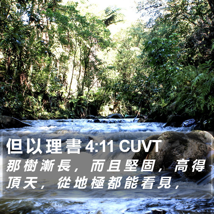 但 以 理 書 4:11 CUVT Bible Study