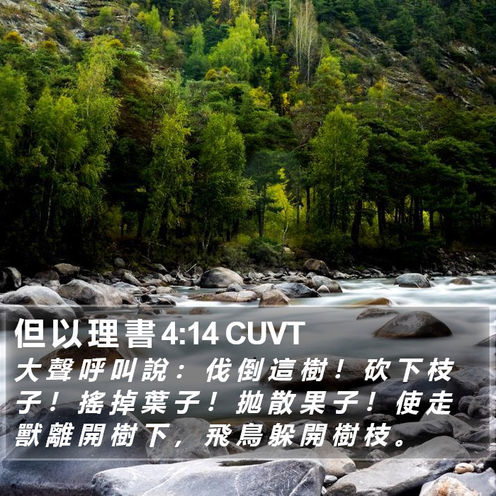 但 以 理 書 4:14 CUVT Bible Study