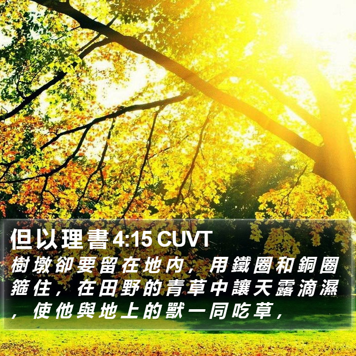 但 以 理 書 4:15 CUVT Bible Study