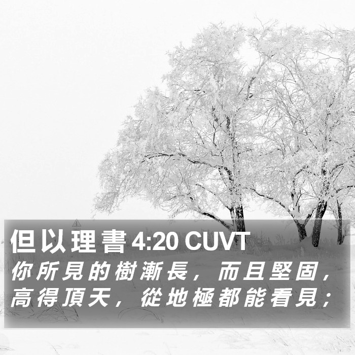 但 以 理 書 4:20 CUVT Bible Study