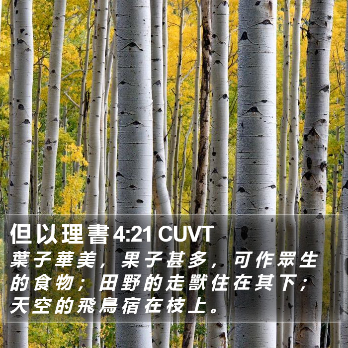 但 以 理 書 4:21 CUVT Bible Study