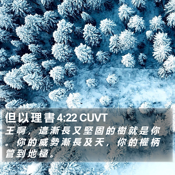 但 以 理 書 4:22 CUVT Bible Study