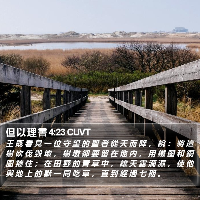 但 以 理 書 4:23 CUVT Bible Study