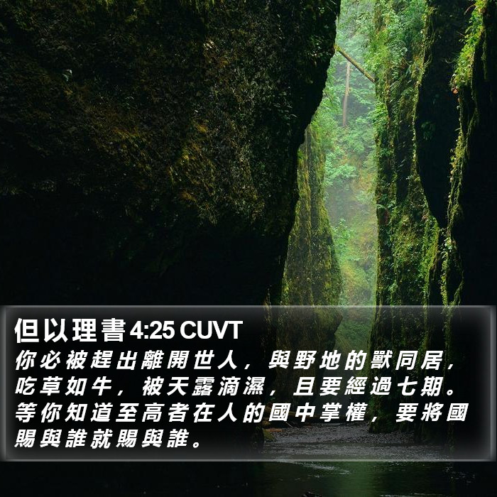 但 以 理 書 4:25 CUVT Bible Study