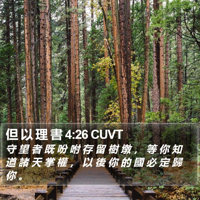 但 以 理 書 4:26 CUVT Bible Study