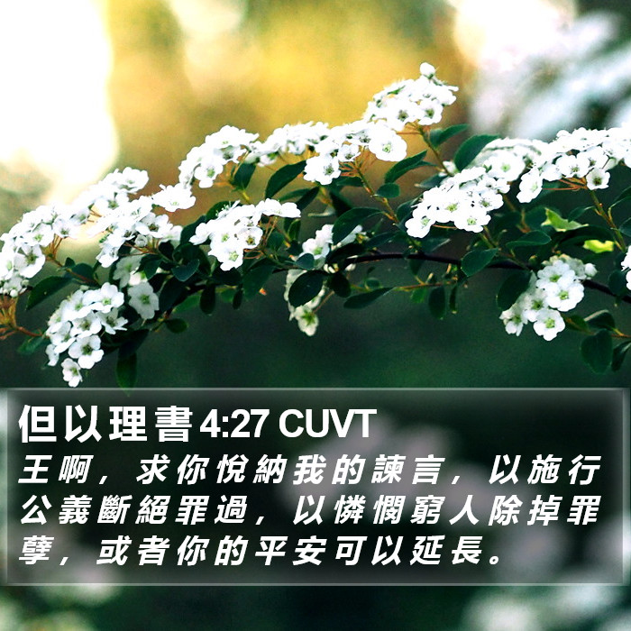 但 以 理 書 4:27 CUVT Bible Study