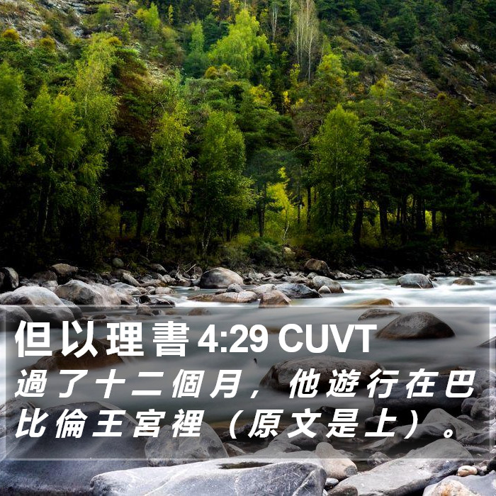 但 以 理 書 4:29 CUVT Bible Study