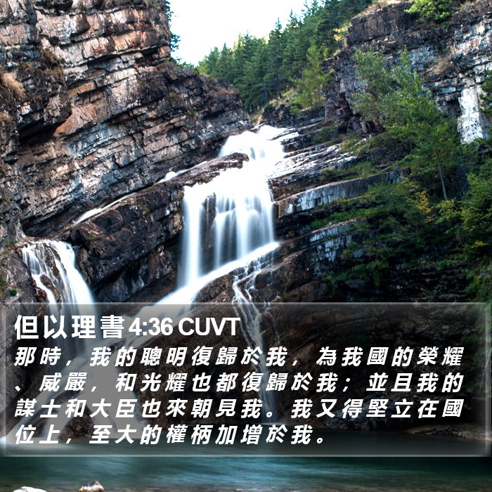 但 以 理 書 4:36 CUVT Bible Study