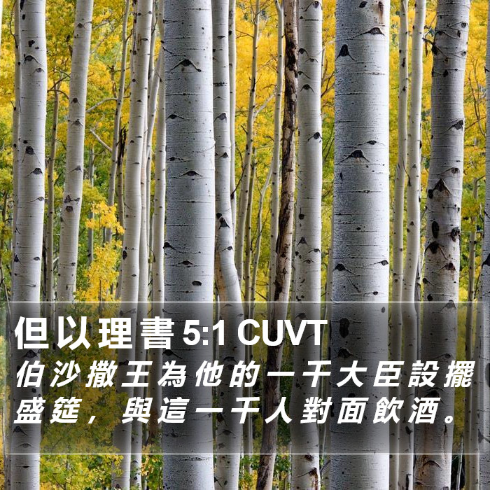 但 以 理 書 5:1 CUVT Bible Study